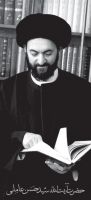 آیت الله سید حسن عاملی