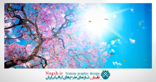 دانلود ویدئو کلیپ بسیار زیبای پرواز پروانه های رنگارنگ در میان درختان  